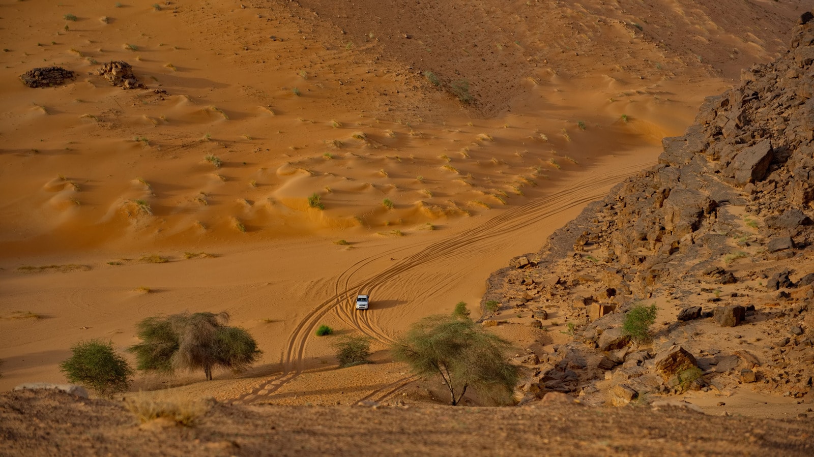 Fransız Bir Ralli Pilotunun Range Rover ile İlk Paris-Dakar'ı Nasıl Kazandığının Hikayesi
